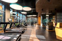 KIRMAN PREMIUM CALYPTUS RESORT-SPA Activities